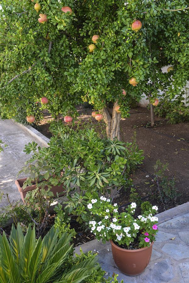 Villa Anesis سبيتسيس المظهر الخارجي الصورة